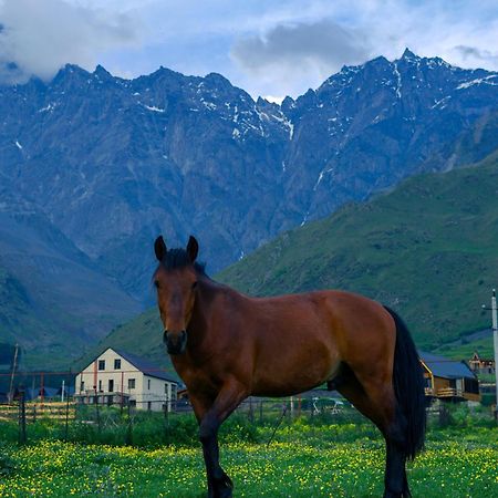 Savalley Kazbegi Luaran gambar